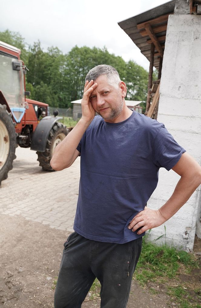 Wilki w rejonie Puszczy Knyszyńskiej. Mieszkańcy alarmują