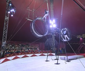 Cyrk Zalewski. Oto artyści 25. Międzynarodowego Festiwalu Sztuki Cyrkowej w Warszawie