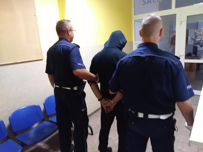 Ogromna plantacja marihuany w regionie! Policjanci zabezpieczyli ponad 430 krzewów [ZDJĘCIA]