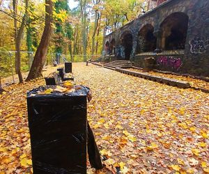 Porządkowanie terenu wokół wieży Quistorpa