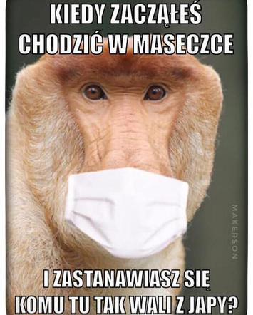 Memy o koronawirusie