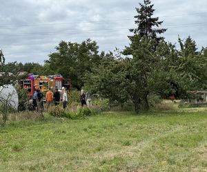 Wypadek awionetki w Krzycku Wielkim