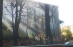 Leśny mural we Wrocławiu