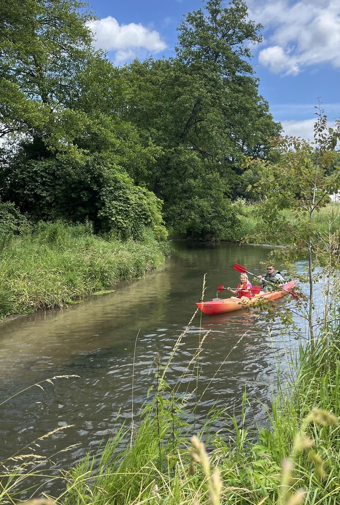 Europosłanka odpłynęła z mężem