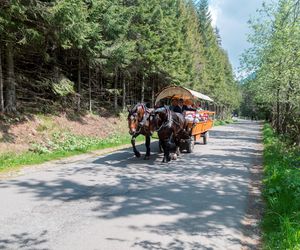 Spór o transport konny do Morskiego Oka. Wyniki badań już wkrótce