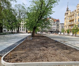 Tak teraz wygląda plac Wolności w Bydgoszczy. Powrót kwiaciarek ponownie opóźniony