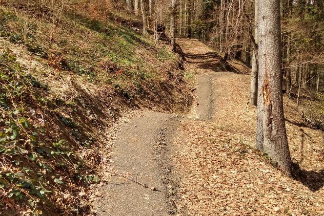 Oto najdłuższa sieć tras typu singletrack w Europie