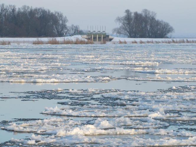 Lodołamacze wyruszają na Odrę