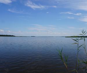 Podlaska Atlantyda, czyli Zalew Siemianówka i okolice