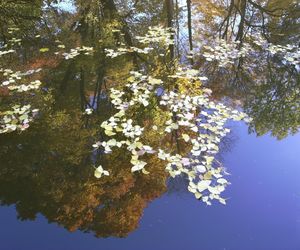 Najpiękniejszy ogród botaniczny w Polsce znów otwarty dla gości. Przygotuj się na widoki jak z bajki 