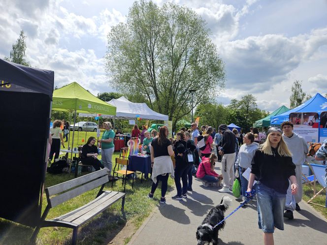Festiwal Przyjaciół Zwierząt w Olsztynie. Park Centralny opanowały radosne pieski