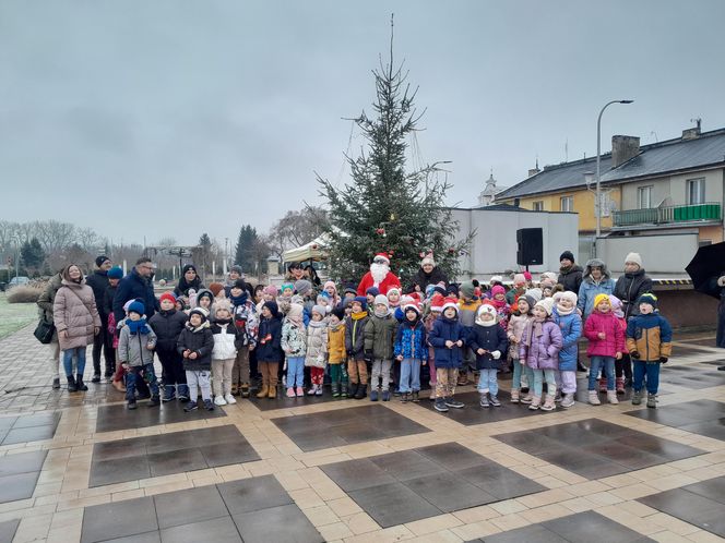 Na rynku w Mordach stanęła choinka