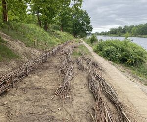 Park Żerański w Warszawie