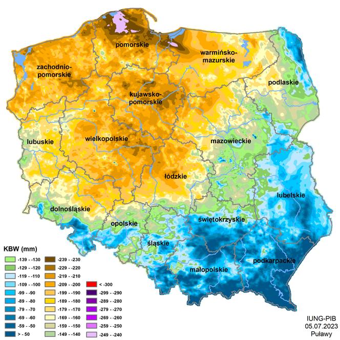 Susza w Polsce i Świętokrzyskiem. Zobacz, które rejony dotknęła szczególnie i gdzie odnotowano największe straty w rolnictwie