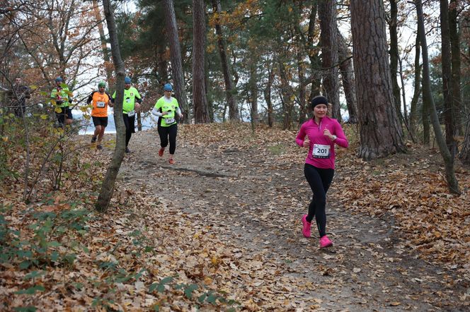 City Trail – Bieg Niepodległości 2024 nad Zalewem Zemborzyckim w Lublinie