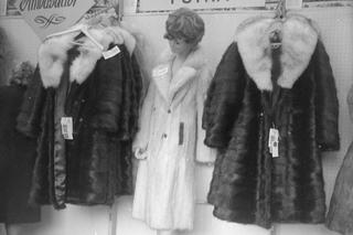 QUIZ. Symbole luksusu PRL