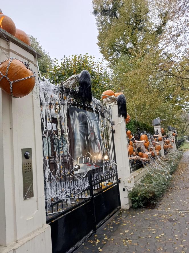 Willa na Jaśkowej Dolinie znów ozdobiona. Tym razem przechodniów zaskakują halloweenowe straszydła!