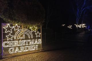 Christmas Garden w zoo w Chorzowie jest zachwycający