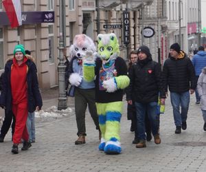 33. Finał WOŚP w Kielcach. Ulica Sienkiewicza