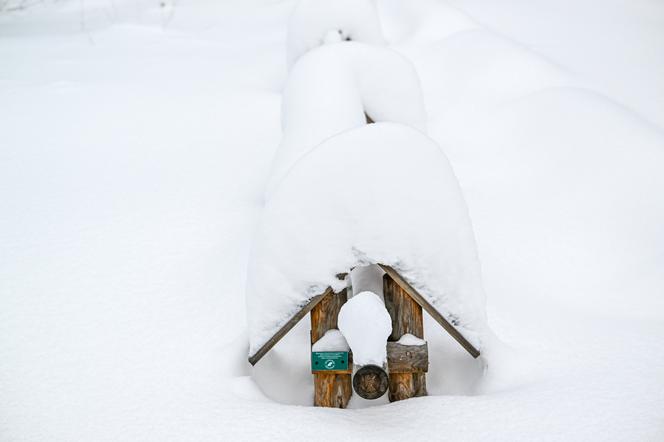 Bieszczady pod śniegiem