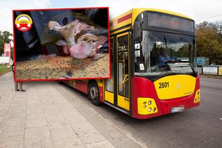 Kierowca autobusu miejskiego zszokował zdjęciem, teraz boi się konsekwencji! Rzecznik MPK mówi o fake newsie