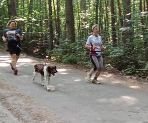 Bieg i marsz nordic walking o Puchar Miejskiej Góry