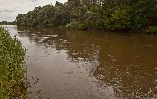 Parostatki wrócą na Bug