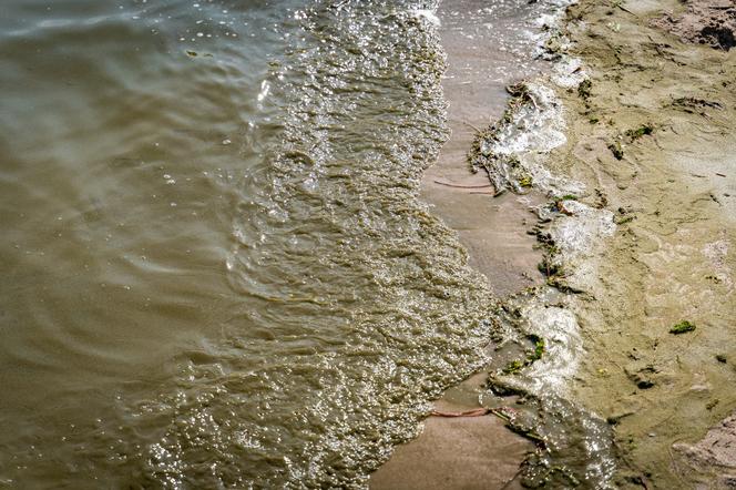  Mikołajki. Zakaz kąpieli na plaży miejskiej. W jeziorze pojawiły się sinice [ZDJĘCIA]