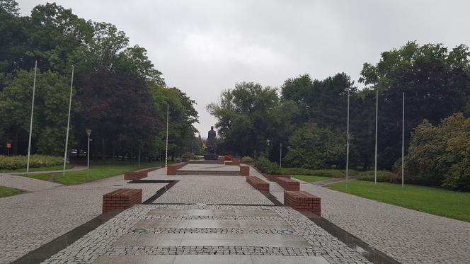 Rzeszów walczy ze szczurami w parku