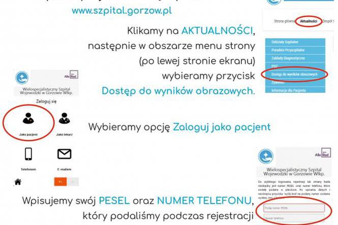 Wyniki badań w internecie