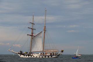 ParadaZagleGdyni2014_FotMZwierz_710355