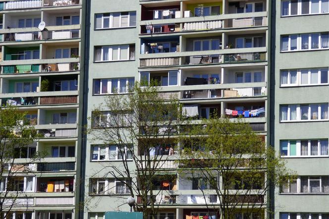 Czterolatek wypadł z 11. piętra bloku w Toruniu