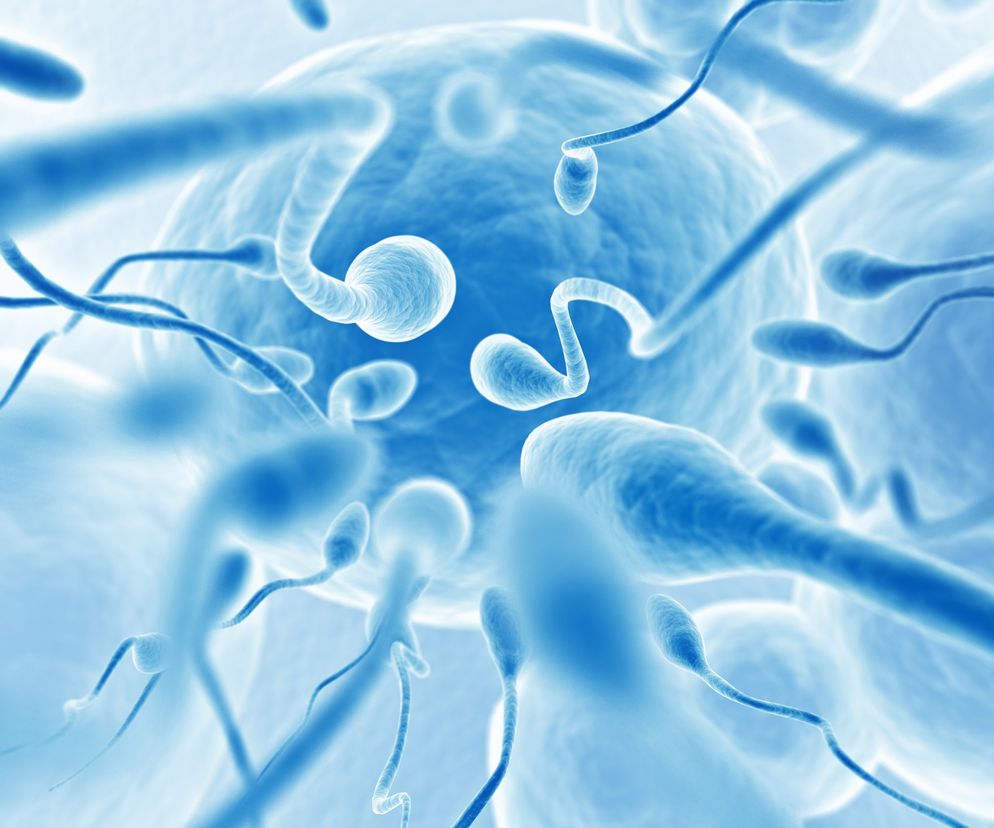 Zapłodnienie i pierwszy tydzień życia dziecka w łonie matki