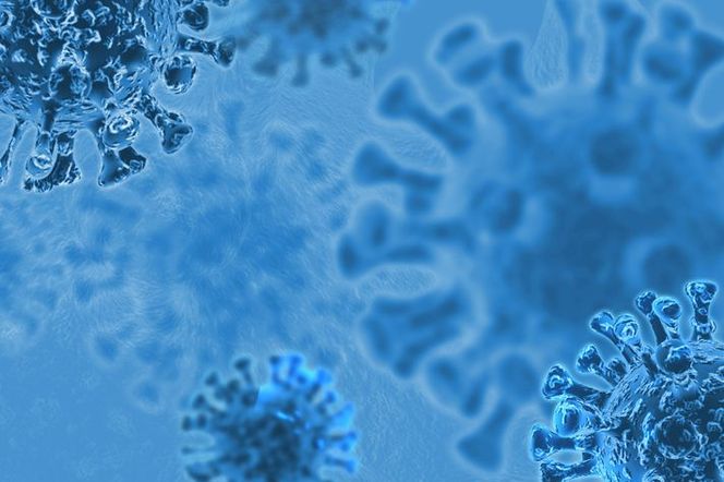 Trójwymiarowa, niebieska wizualizacja wirusów koronawirusa SARS-CoV-2, przedstawiająca ich kolczastą strukturę w powiększeniu. Obraz symbolizuje rozprzestrzenianie się nowego, bardziej zakaźnego szczepu w Europie, o którym więcej można przeczytać na portalu Poradnik Zdrowie.