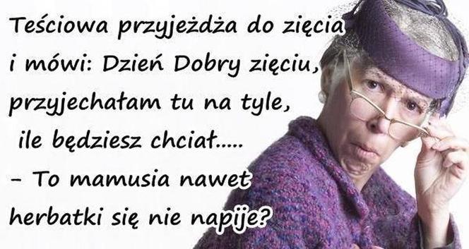 Dzień Teściowej 2021: MEMY. Najlepsze, śmieszne żarty i obrazki o teściowych [ZDJĘCIA]