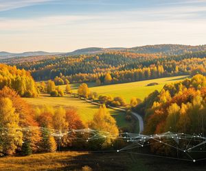 Jesienne wyprawy na Lubelszczyźnie. Co sztuczna inteligencja ukrywa przed nami?