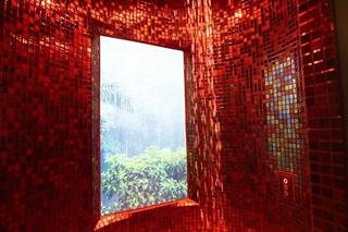 Aquaparku Fala kusi atrakcjami! Na co mogą liczyć klienci podczas zimy?