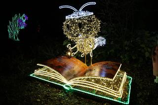 Park iluminacji 2023 w Lublinie