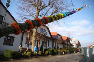 Konkurs na najpiękniejszą palmę wielkanocną na Rynku w Lipnicy Murowanej  