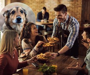 Zjedz pizzę lub ramen. Pomożesz zwierzętom jak nigdy! Ruszyła kolejna edycji społecznej akcji
