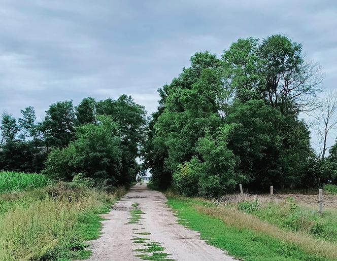 Światowy Dzień Fotografii. Z tych fotek są dumni nasi Czytelnicy! ZOBACZ