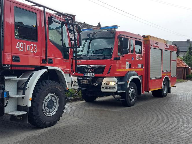 Śnięte ryby na Smugowej w Starachowicach