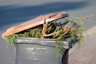 Od 2021 roku  w  Gminie Zamość zmiany w gospodarce odpadami