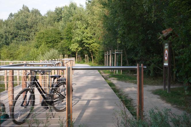 Park Leśny Tetmajera w Bronowicach