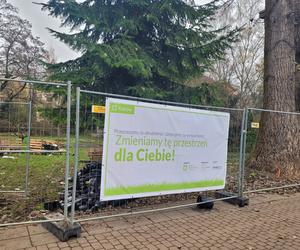 W mieście będzie jeszcze bardziej zielono. Trwają prace w krakowskich parkach