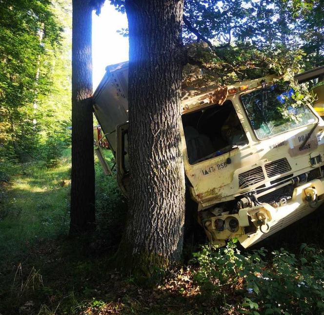 Amerykańska ciężarówka - zderzenie z drzewem 