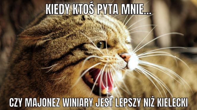 Najnowsze memy o Kielcach