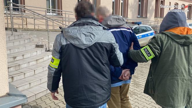 Tarnowskie Góry: W centrum miasta zlikwidowano plantację konopi