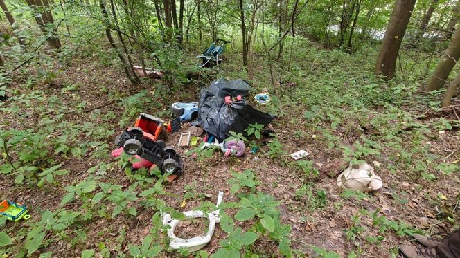 Zgroza w lesie pod Świeciem! Martwy pies w worku foliowym ze związanymi łapami. Policja szuka sprawcy bestialskiego czynu