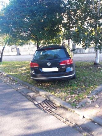 Mistrzowie parkowania w Katowicach ukarani przez Straż Miejską
